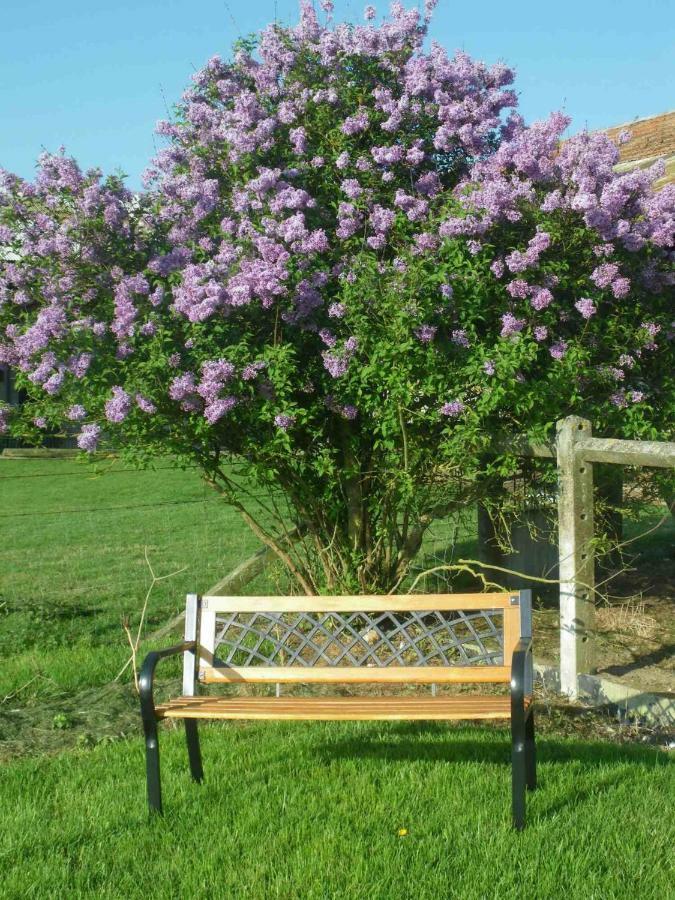 Ma KaBane Villa Couvains  Bagian luar foto